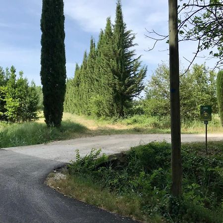 Le Jardin D'Erables St Remy 7 Ha Piscine/Clim Villa Paluds de Noves Exterior photo